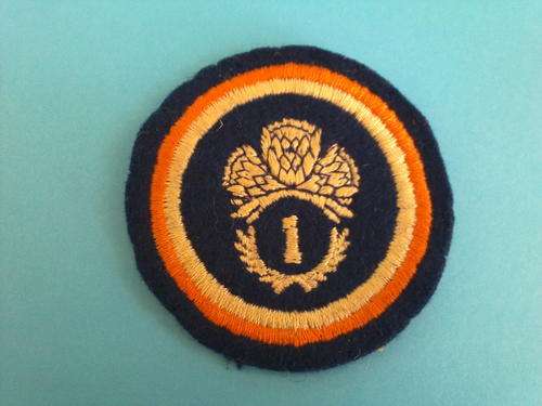 1 SPECIAL SERVICES BATTALION CLOTH UNIT FLASH